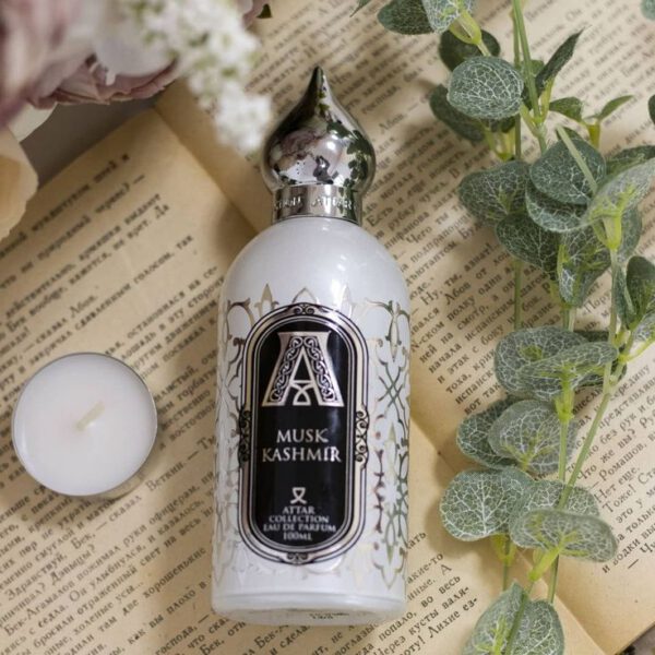 Musk Kashmir